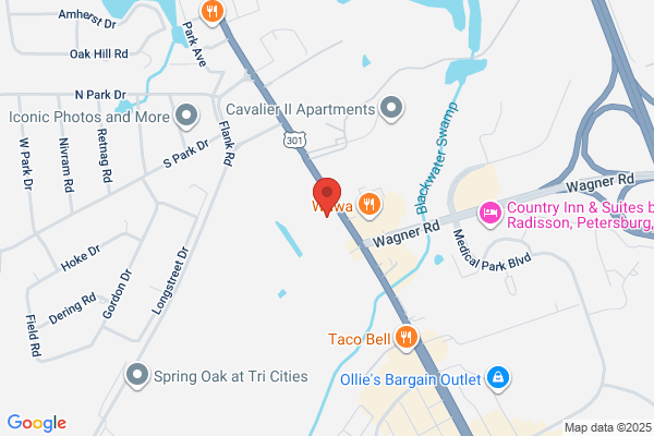 Advance Auto Parts