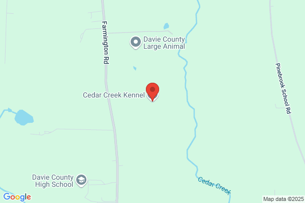 Cedar Creek Kennel Llc