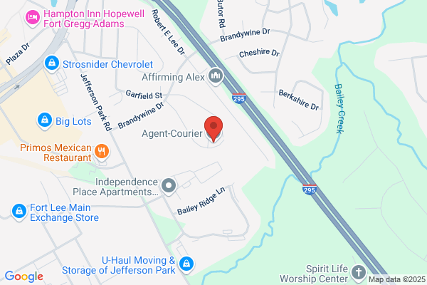 Agent-Courier LLC