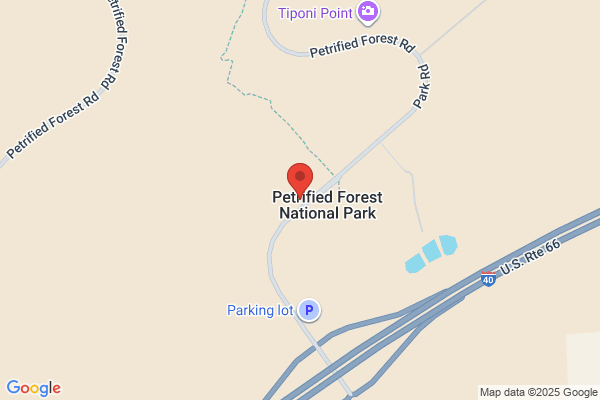 Petrified Forest Trading Company
