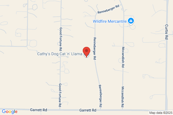 Cathys Dog Cat & Llama Grooming