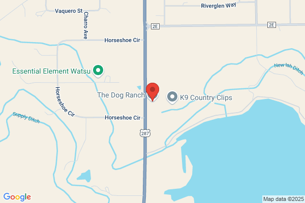 DogBoy's Dog Ranch