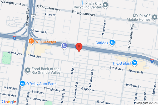 Panther Motors Inc