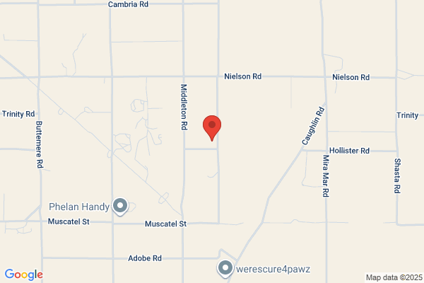 Dubois, Sharon