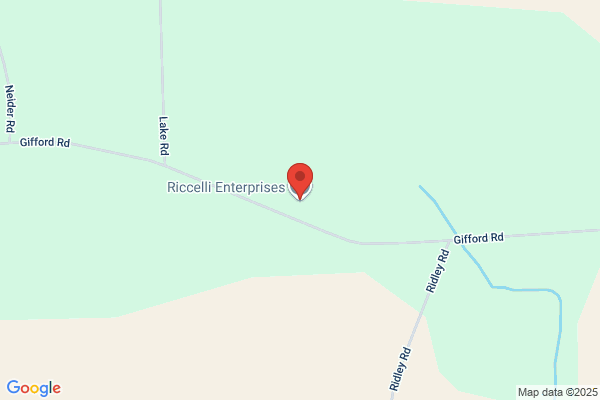 Riccelli Enterprises