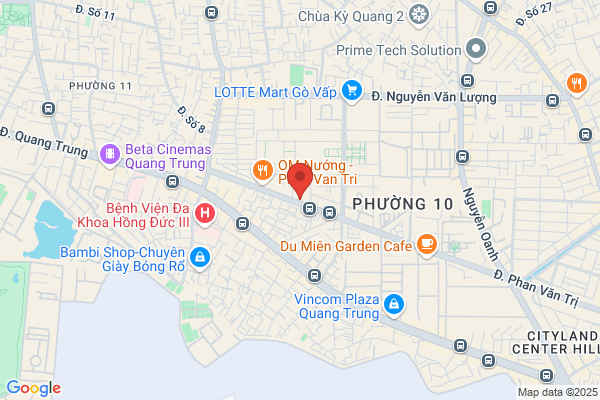 Thuonghien Vu Tran, DO