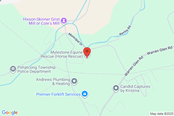 Mylestone Equine Rescue