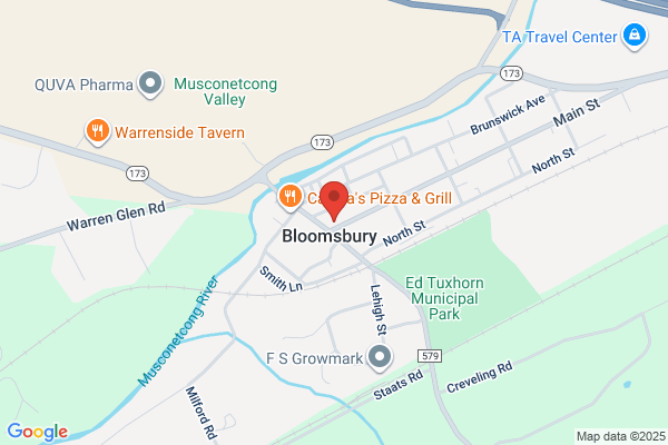 Bloomsbury Public School