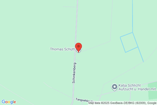Schuett Thomas I