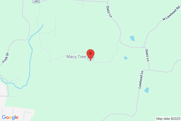Macy Tree LLC