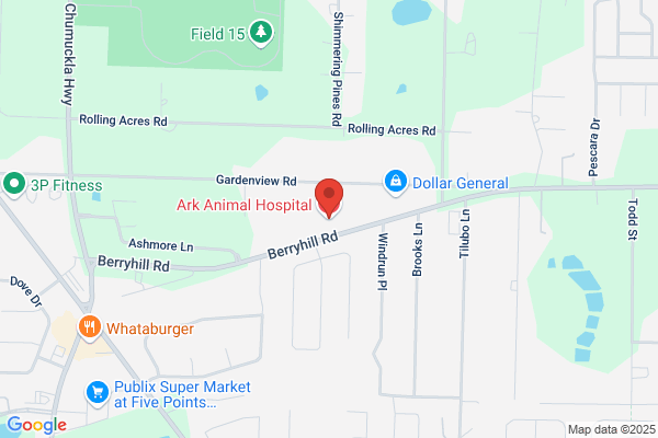 Ark Animal Hospital