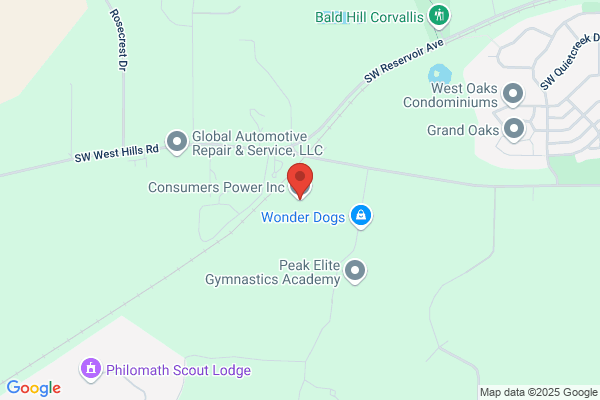 Consumers Power Inc