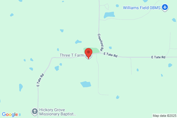 Three Y Farm Llc