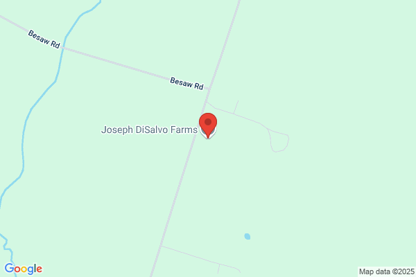 Di Salvo Farms Inc