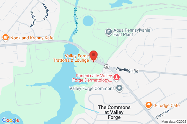 Valley Forge Pizza & Restaurant