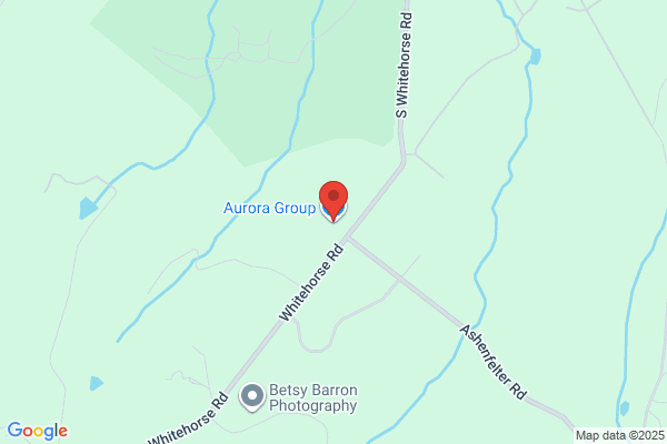 Aurora Group Inc the