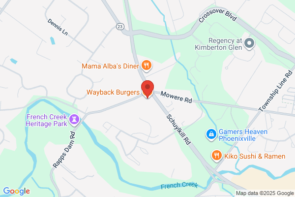 Wayback Burgers