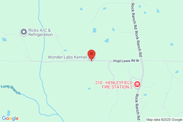 Wonder Labs Kennel