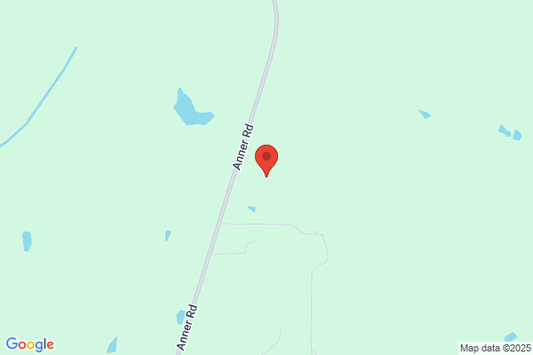 South Ms Timber Inc