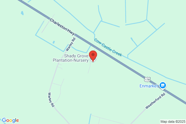 Shady Grove Nursery