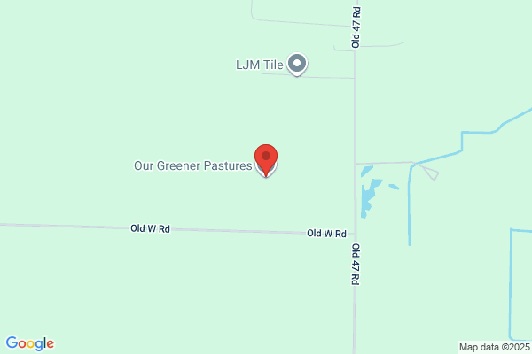 Greener Pastures Landscaping & Design Llc