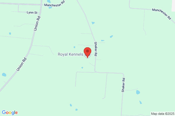 Kennel Royale