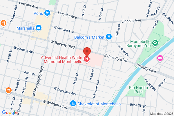 Cohen Kenneth L MD