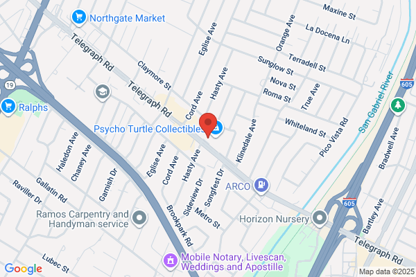 Laura F. Dominguez Realtor/ Mobile Notary