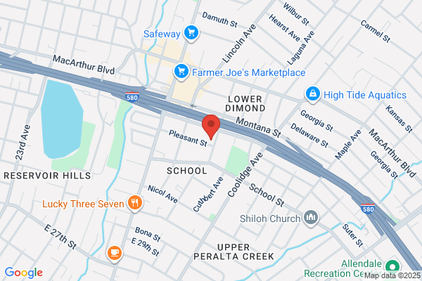 Francisco Mendoza Tree Services