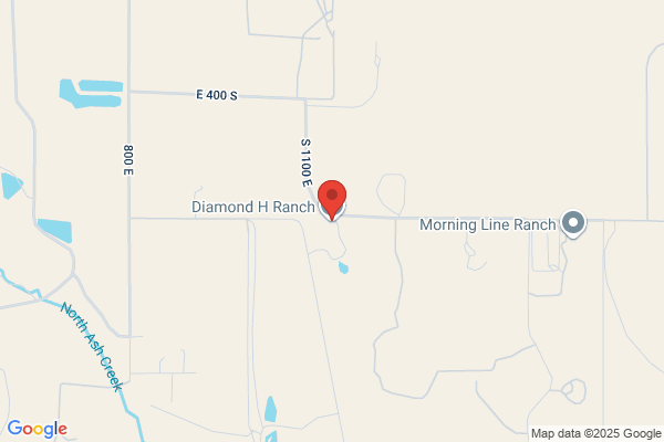 Diamond H Ranch