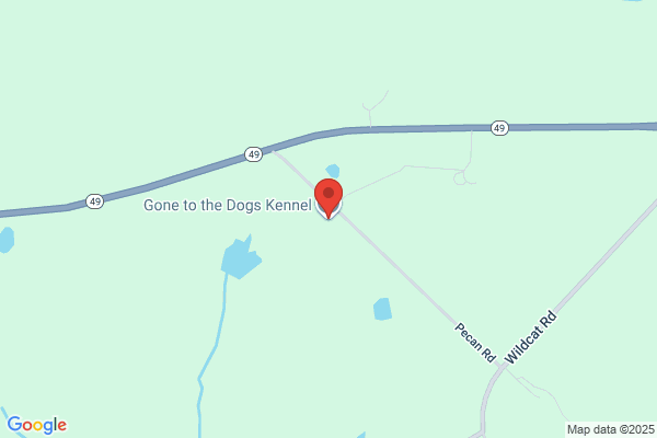 Gone To the Dogs