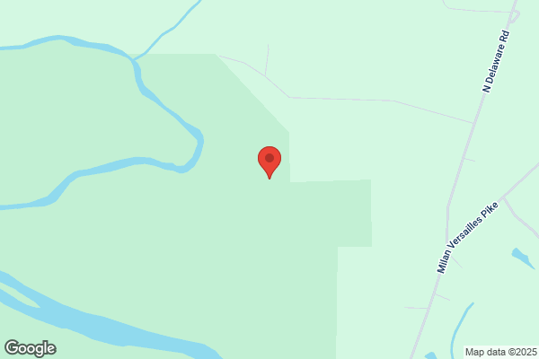 County of Ripley, Auditor