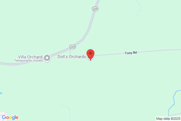 Dolls Orchard