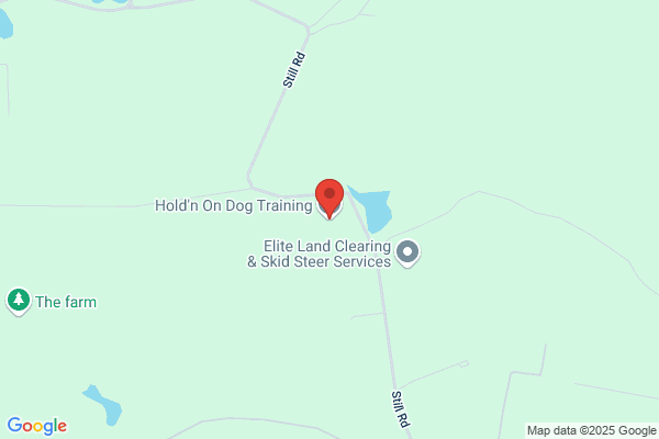 Ask US the Truth About Dog Training