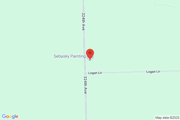 Sebasky Painting