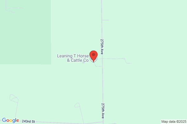 Training Stables and Saddlery