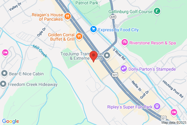 Comfort Inn & Suites At Dollywood Lane