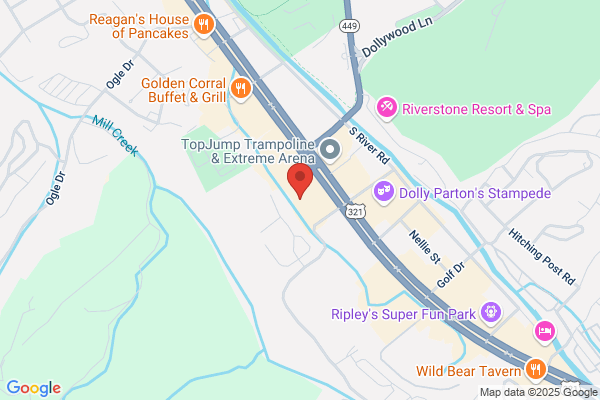 Quality Inn & Suites At Dollywood Lane