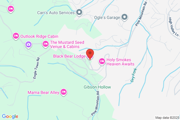 Black Bear Lodging