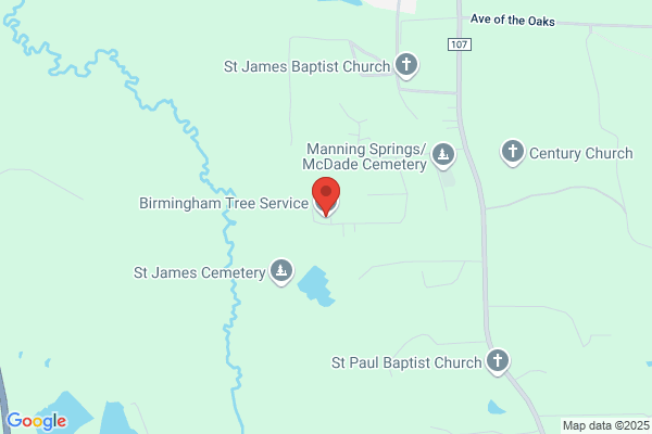 Birmingham Tree Service