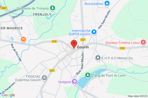 Christine Gail Gourin, MD, MPH