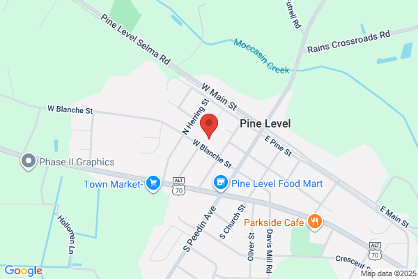 Micro-Pine Level Elementary School