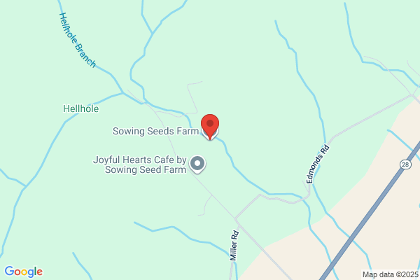 Sowing Seeds Farm