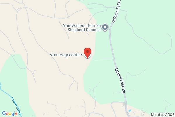 Vom Hognadottirs