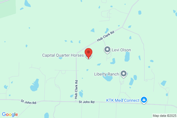 Knost Chip Quarterhorses