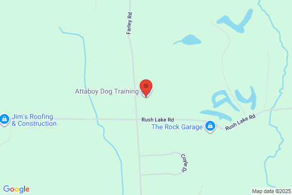 Attaboy Dog Training