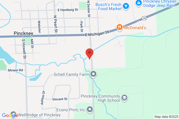 Pinckney Chiropractic Clinic