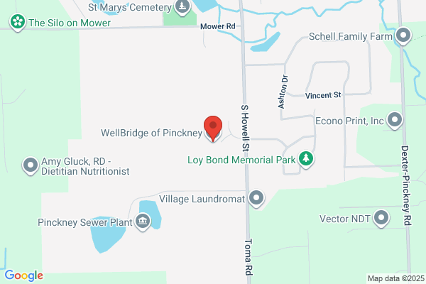 WellBridge of Pinckney