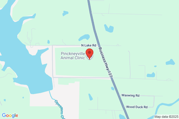 Pinckneyville Animal Clinic