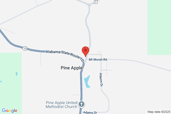 Pine Apple City Hall